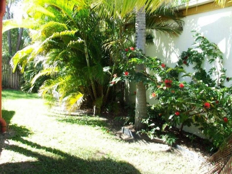 17 Palm Court, Agnes Water QLD 4677