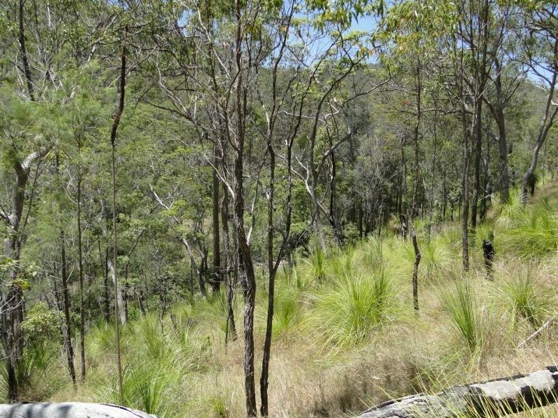 427 Davies Road, Captain Creek, Agnes Water QLD 4677