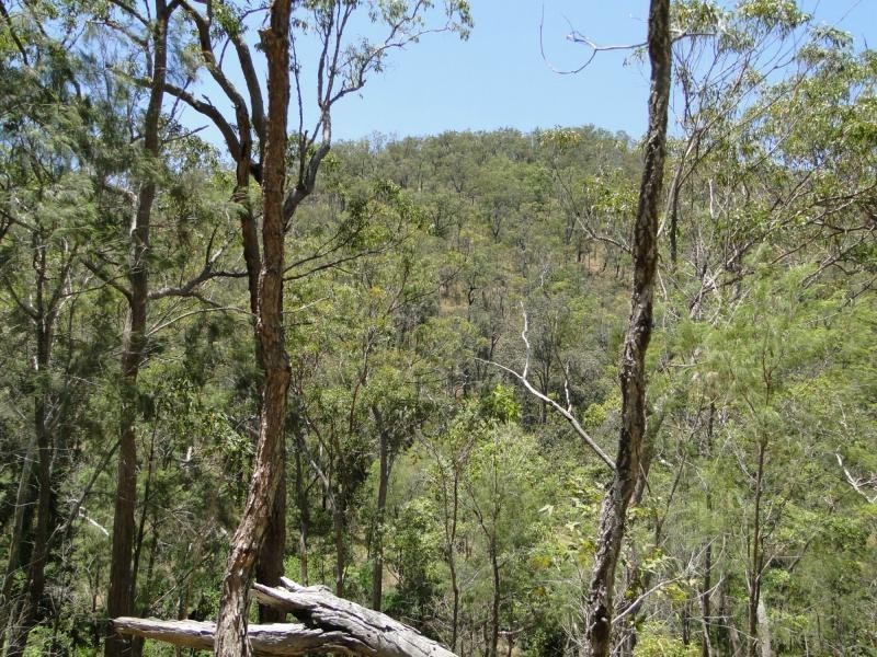427 Davies Road, Captain Creek, Agnes Water QLD 4677