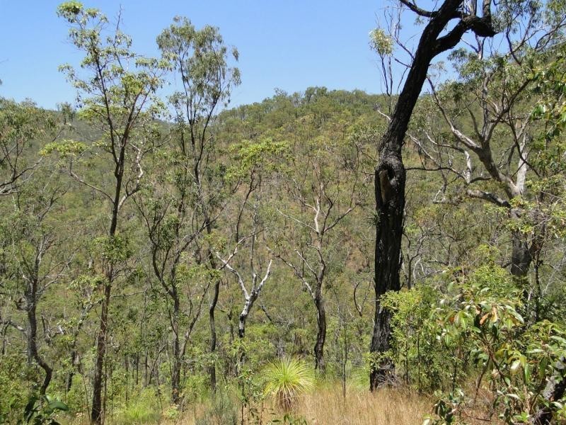 427 Davies Road, Captain Creek, Agnes Water QLD 4677