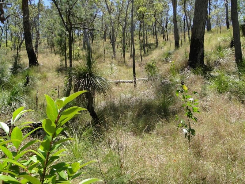 427 Davies Road, Captain Creek, Agnes Water QLD 4677