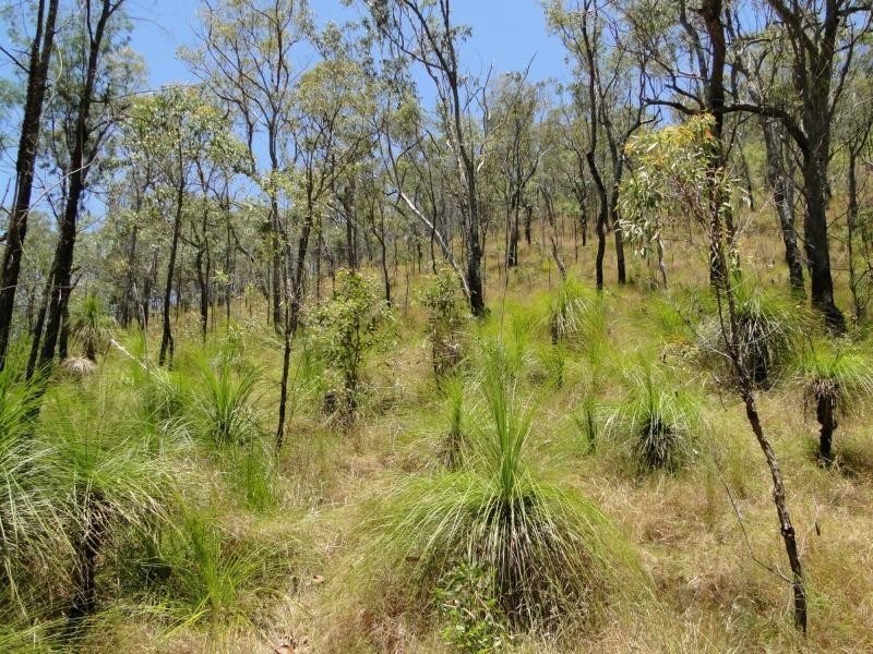 427 Davies Road, Captain Creek, Agnes Water QLD 4677