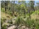 427 Davies Road, Captain Creek, Agnes Water QLD 4677