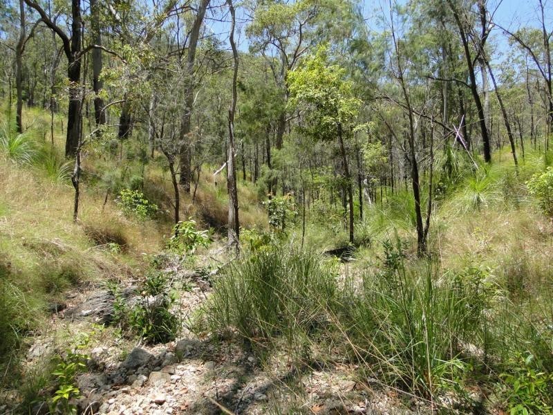 427 Davies Road, Captain Creek, Agnes Water QLD 4677