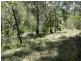 427 Davies Road, Captain Creek, Agnes Water QLD 4677