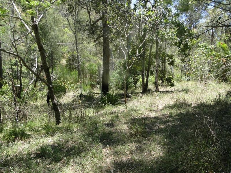 427 Davies Road, Captain Creek, Agnes Water QLD 4677