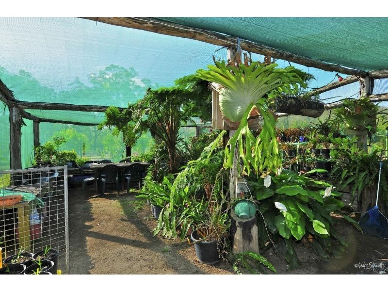 22 Dillon Road, Captain Creek QLD 4677