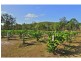 22 Dillon Road, Captain Creek QLD 4677