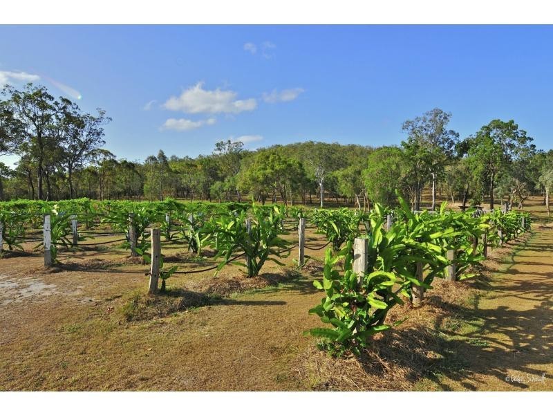 22 Dillon Road, Captain Creek QLD 4677