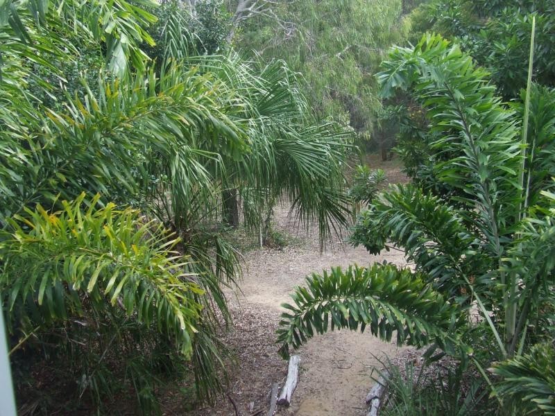 13 Thomson Street, Agnes Water QLD 4677