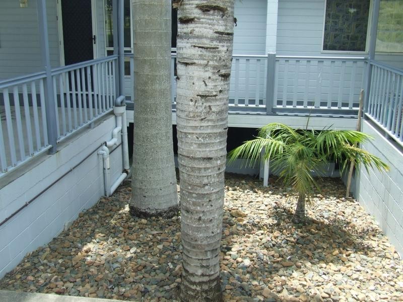 1/6 Donahue Drive, Agnes Water QLD 4677