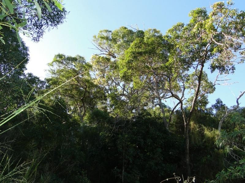 Agnes Water QLD 4677