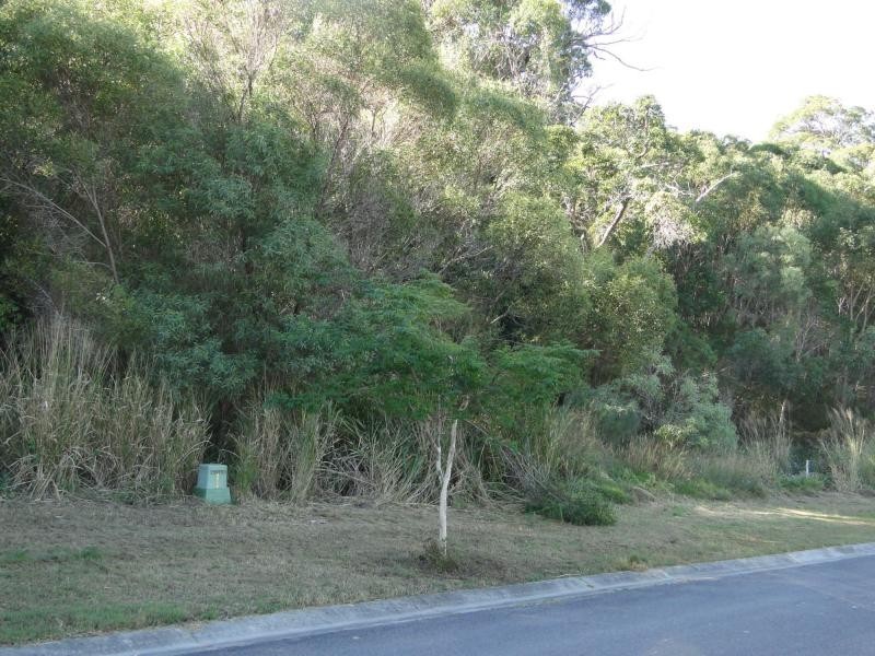 Agnes Water QLD 4677