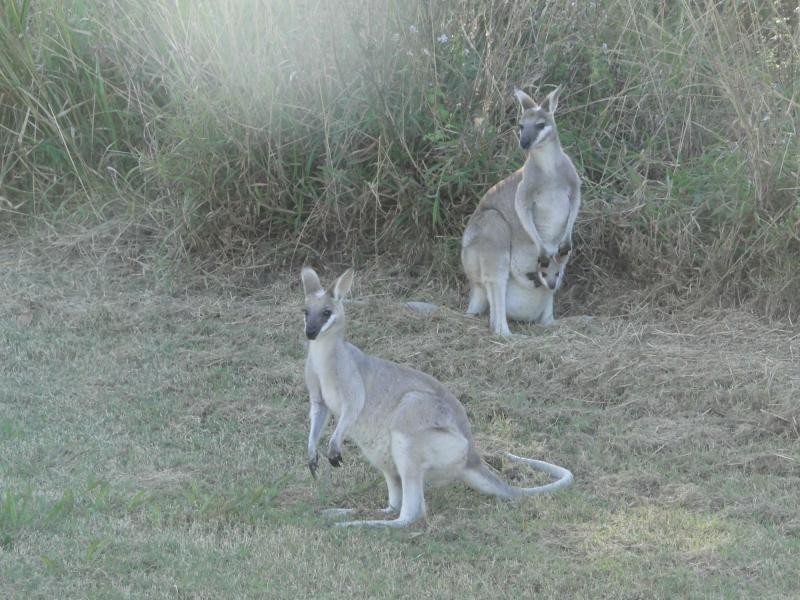 Agnes Water QLD 4677
