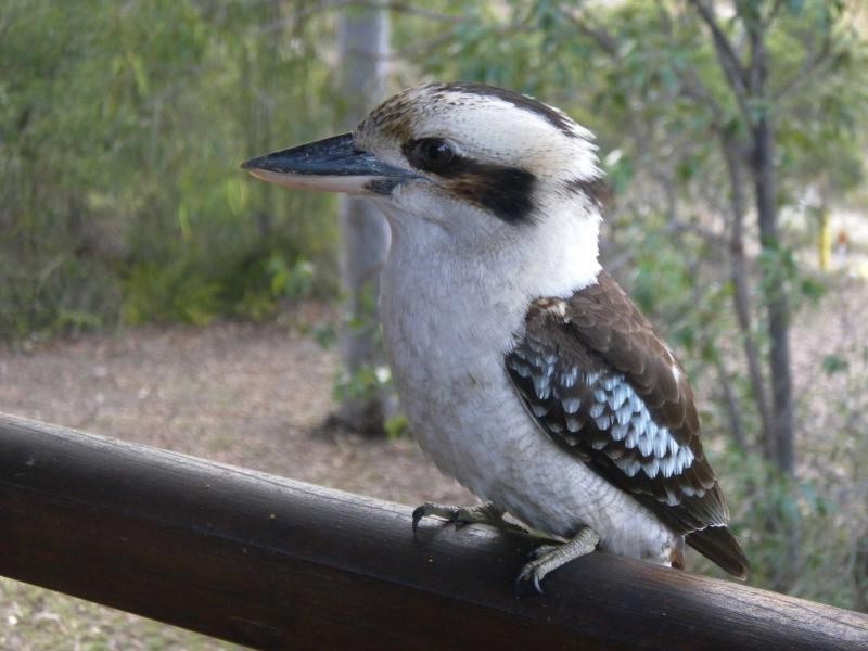 Agnes Water QLD 4677