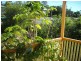 29 Mt Crosby Road, Tivoli QLD 4305