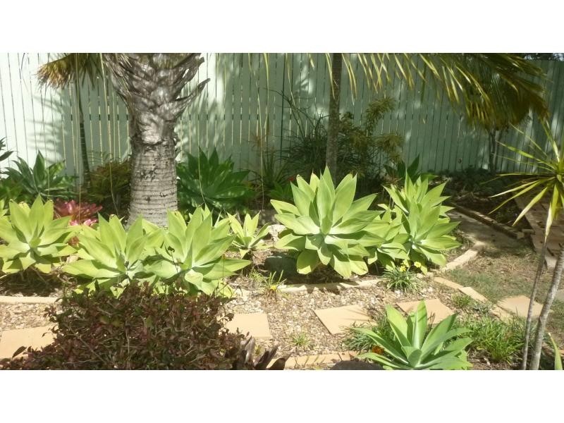 16 Strachan Court, Collingwood Park QLD 4301