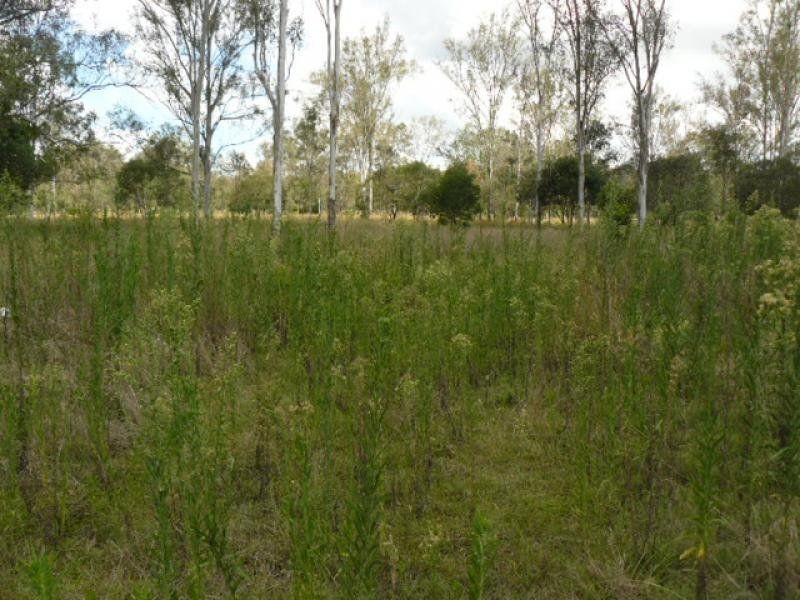 87 Brouff Road, Fernvale QLD 4306