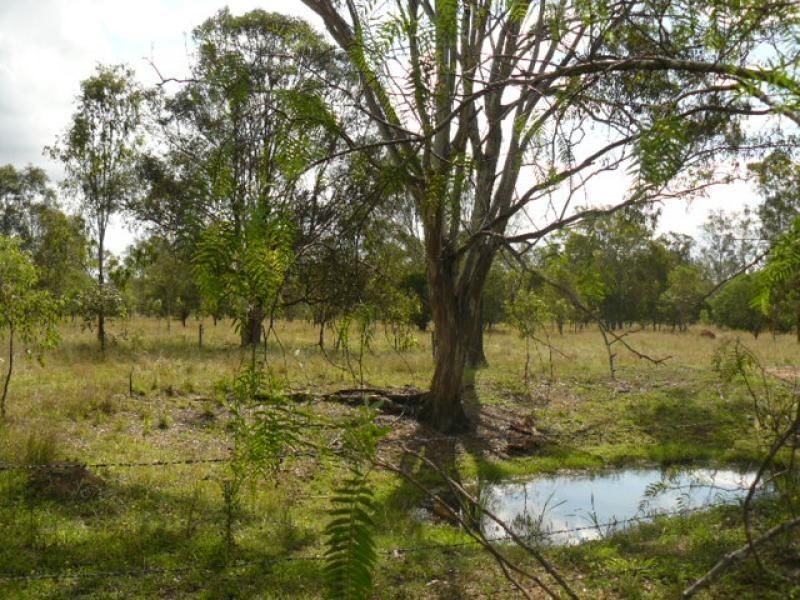 87 Brouff Road, Fernvale QLD 4306