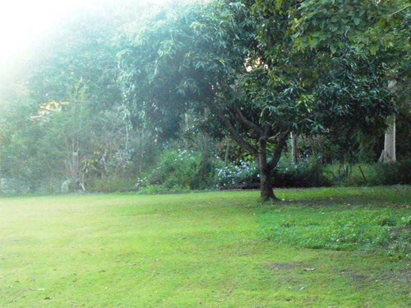 North Ipswich QLD 4305