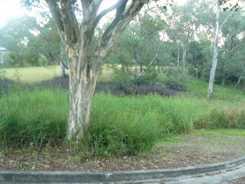 North Ipswich QLD 4305