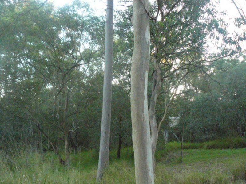 North Ipswich QLD 4305