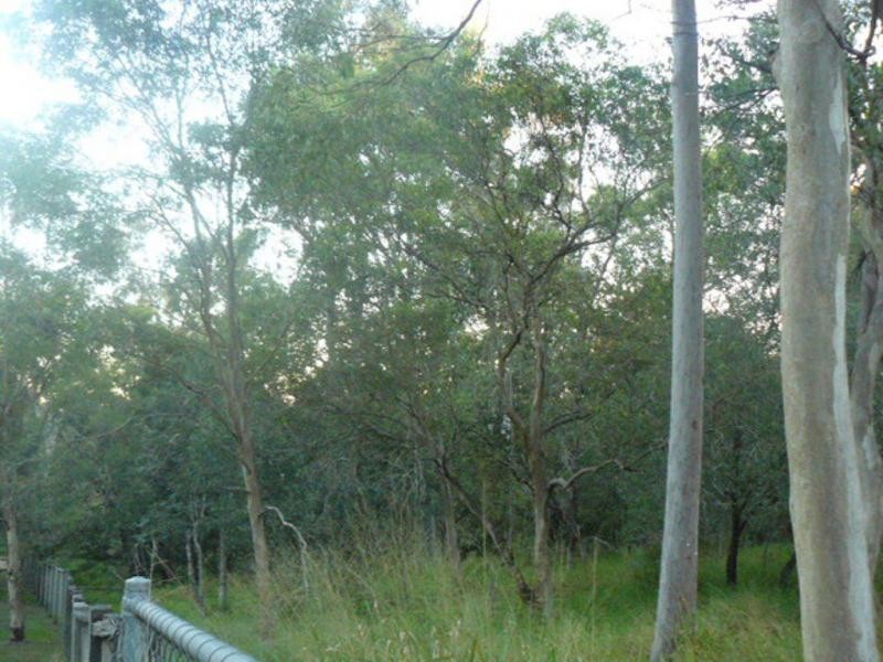 North Ipswich QLD 4305