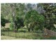 Basin Pocket QLD 4305