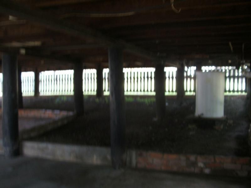 North Ipswich QLD 4305