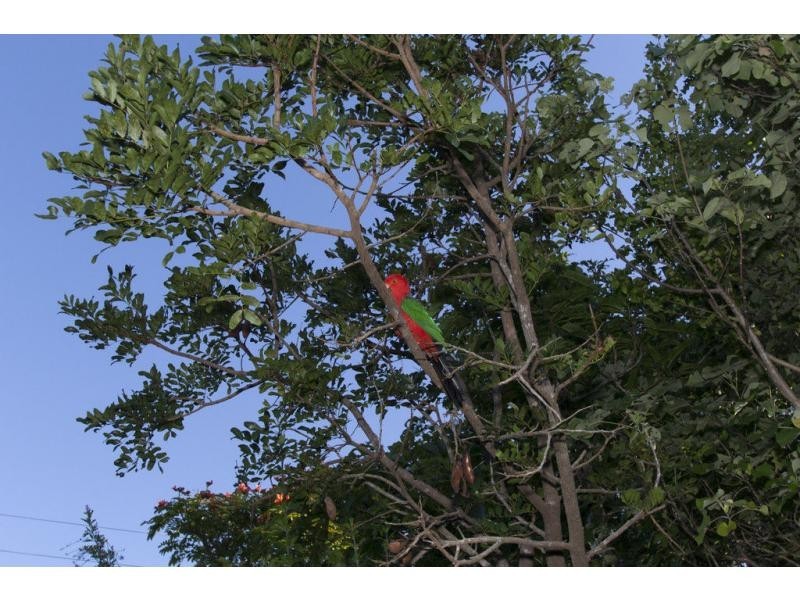 Wivenhoe Pocket QLD 4306