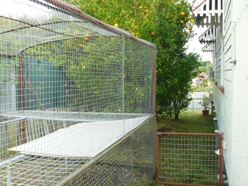 North Ipswich QLD 4305