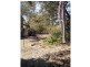Deebing Heights QLD 4306