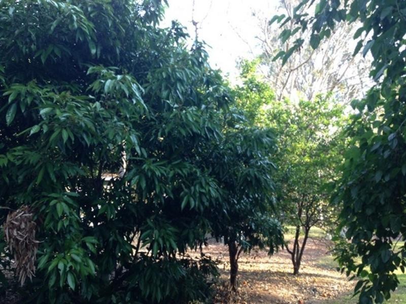 Bellbird Park QLD 4300