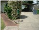 North Booval QLD 4304