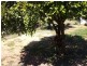 Woodend QLD 4305