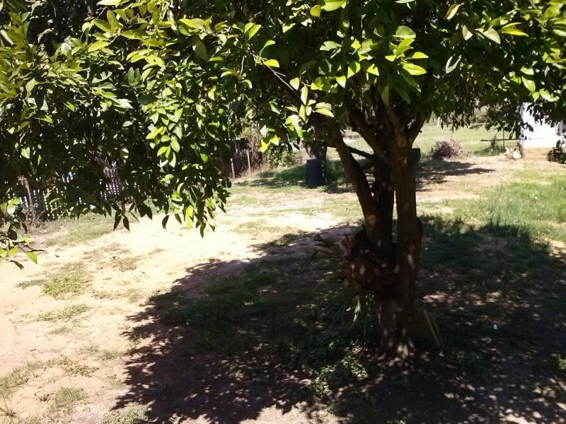 Woodend QLD 4305
