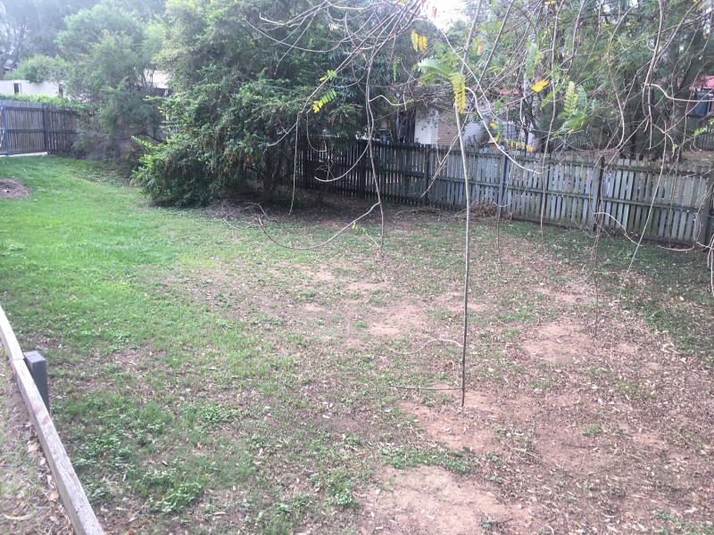 1 & 2/1B Edith Drive, North Ipswich QLD 4305