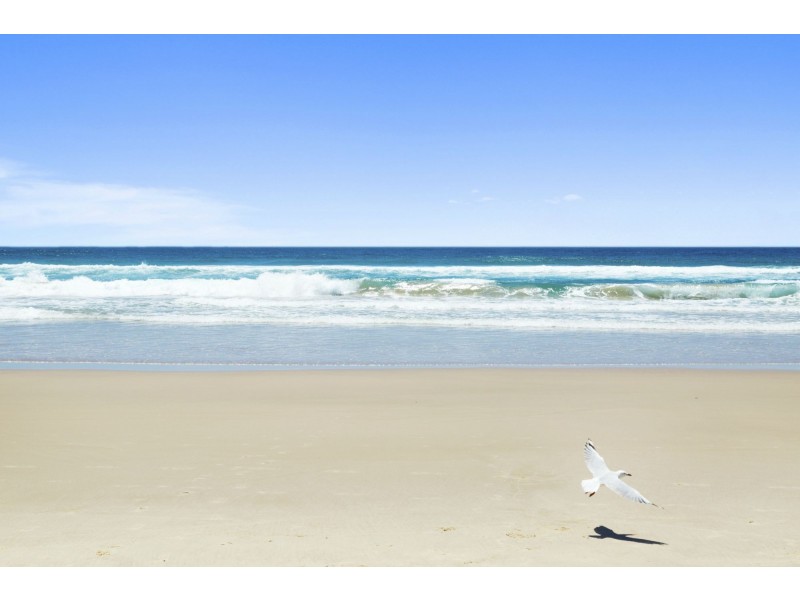 6116/Lot 23 9 Gunnamatta Avenue St, Kingscliff NSW 2487