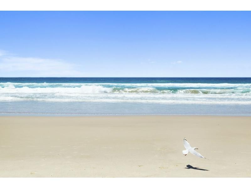 12 Cactus Court, Kingscliff NSW 2487