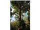Mapleton QLD 4560