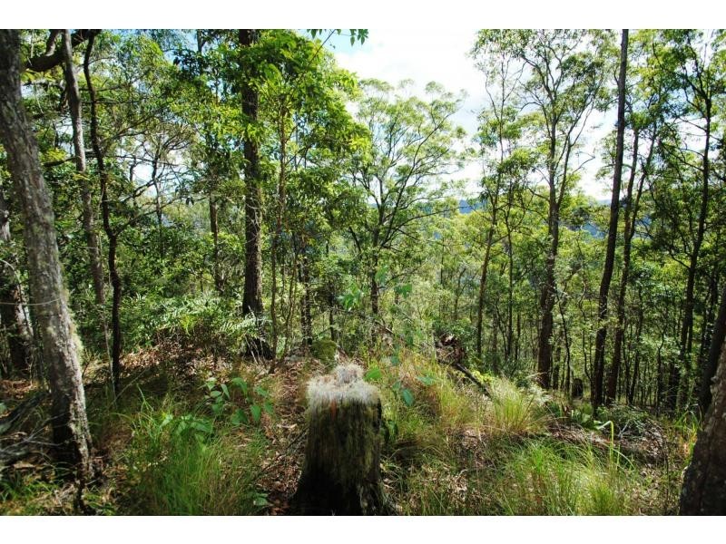 Mapleton QLD 4560