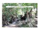 Yandina QLD 4561