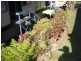 Nambour QLD 4560