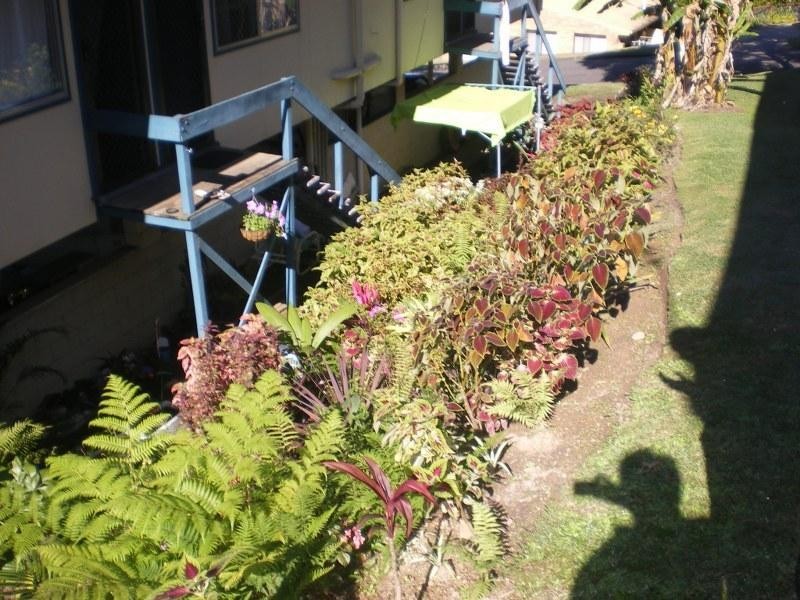 Nambour QLD 4560