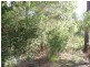 Towen Mountain QLD 4560