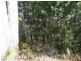 Towen Mountain QLD 4560