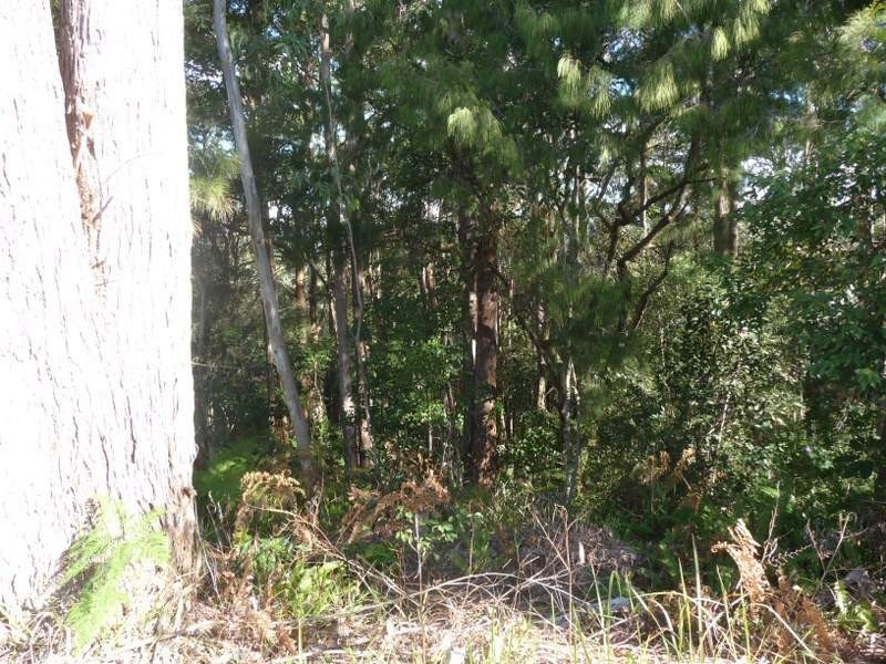 Towen Mountain QLD 4560