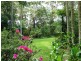 Nambour QLD 4560
