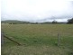 Maroochy River QLD 4561