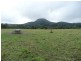 Maroochy River QLD 4561